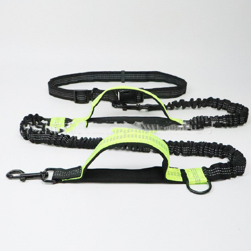 Pet elastic running band