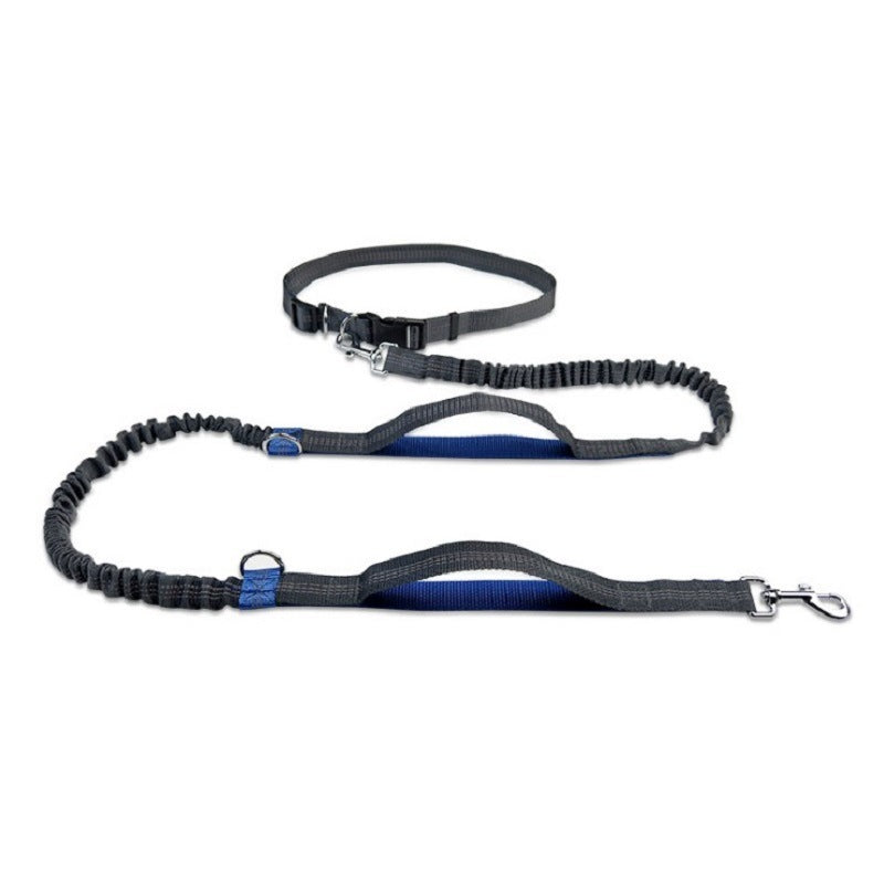 Pet elastic running band