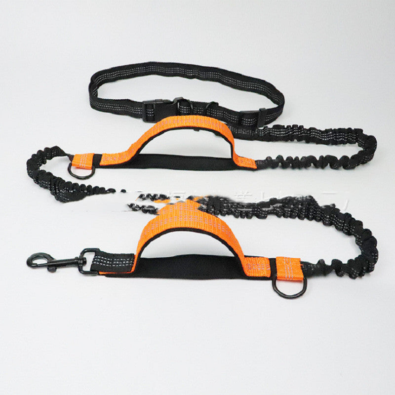 Pet elastic running band