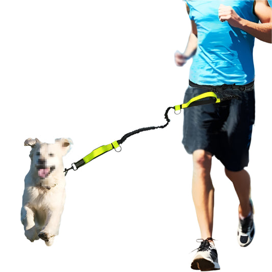 Pet elastic running band